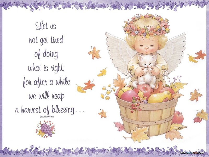 Angel Holding Kitten