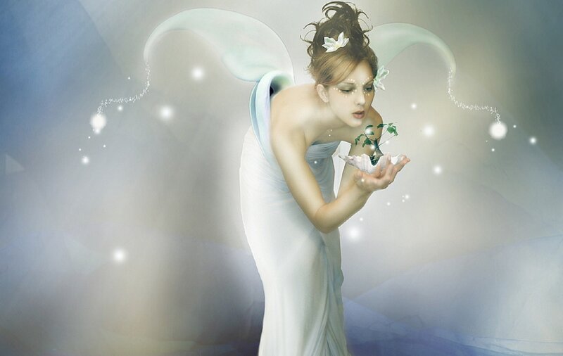 Angel Holding Plant
