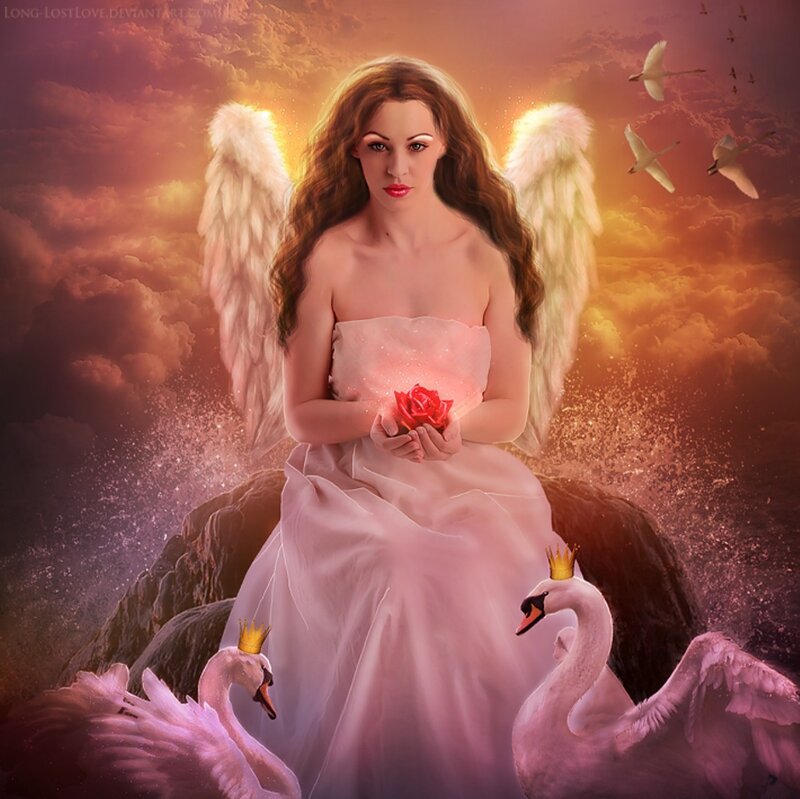 Angel Holding Rose — Pink