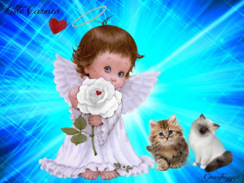 Angel Holding White Rose