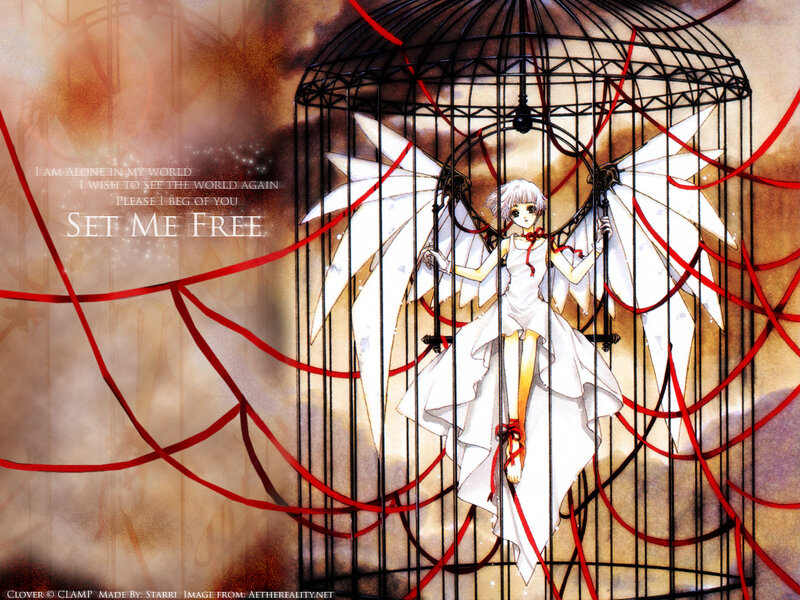 angel in a birdcage