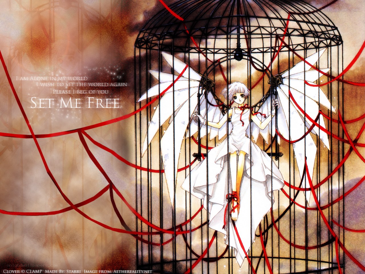 angel in a birdcage