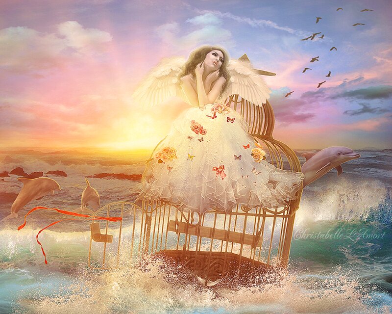 Angel in a Birdcage — White, Serene