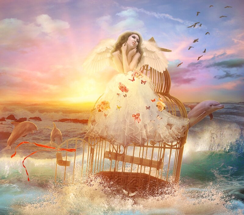 Angel in a Birdcage — White