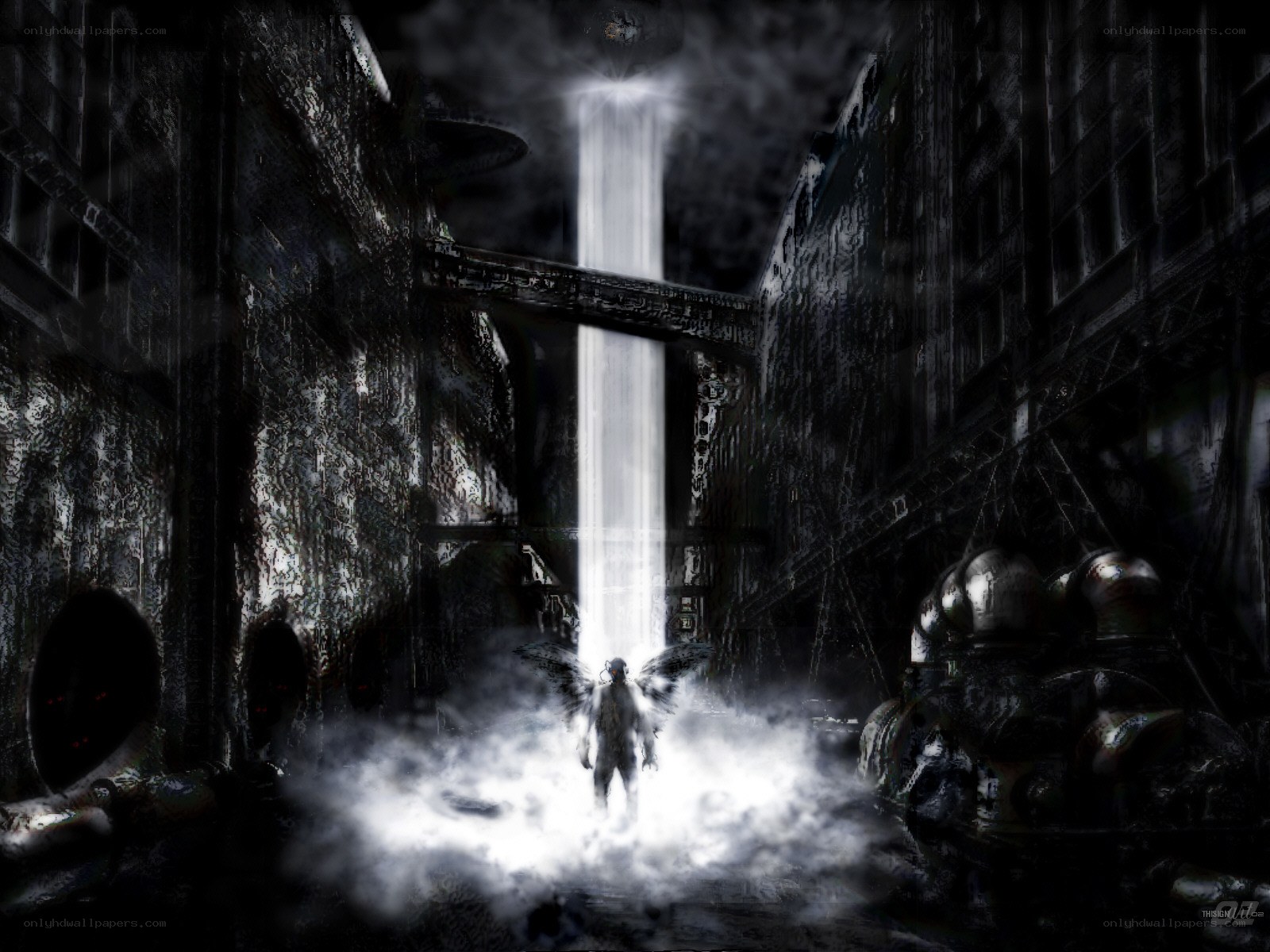 angel in a dark city
