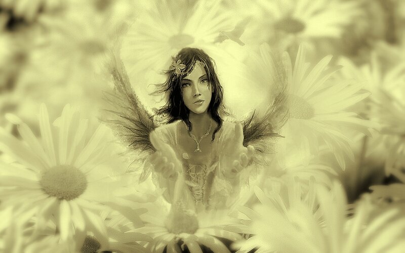angel in a field of daisies