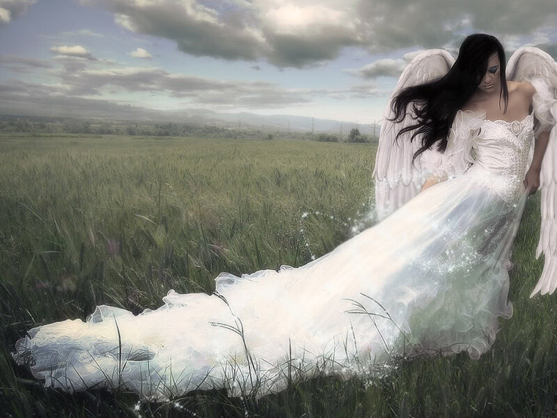 Angel in a Field