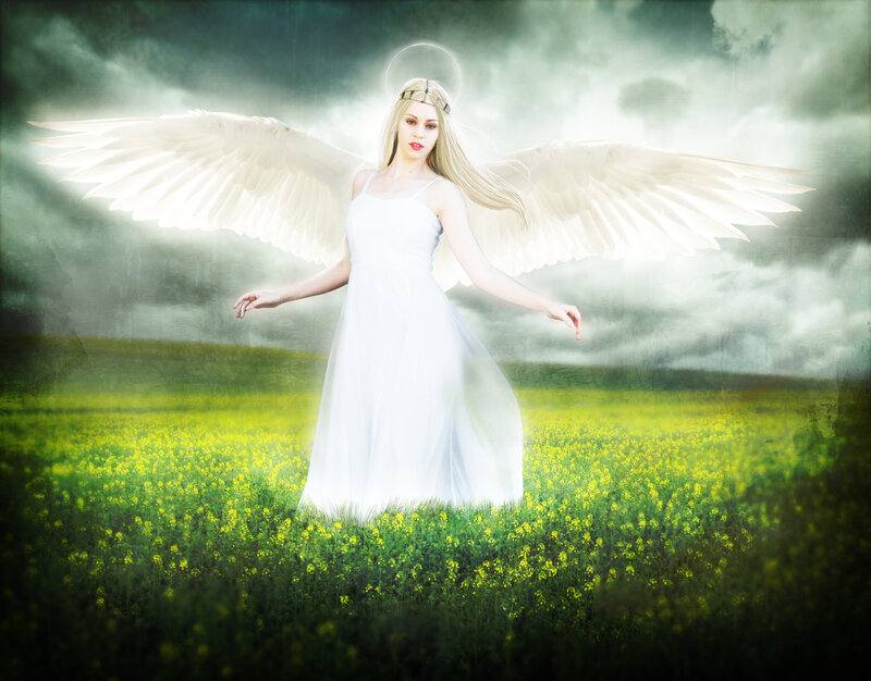 Angel in a Field — White