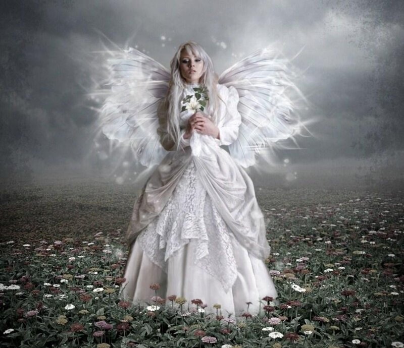 Angel in a Flower Field — White