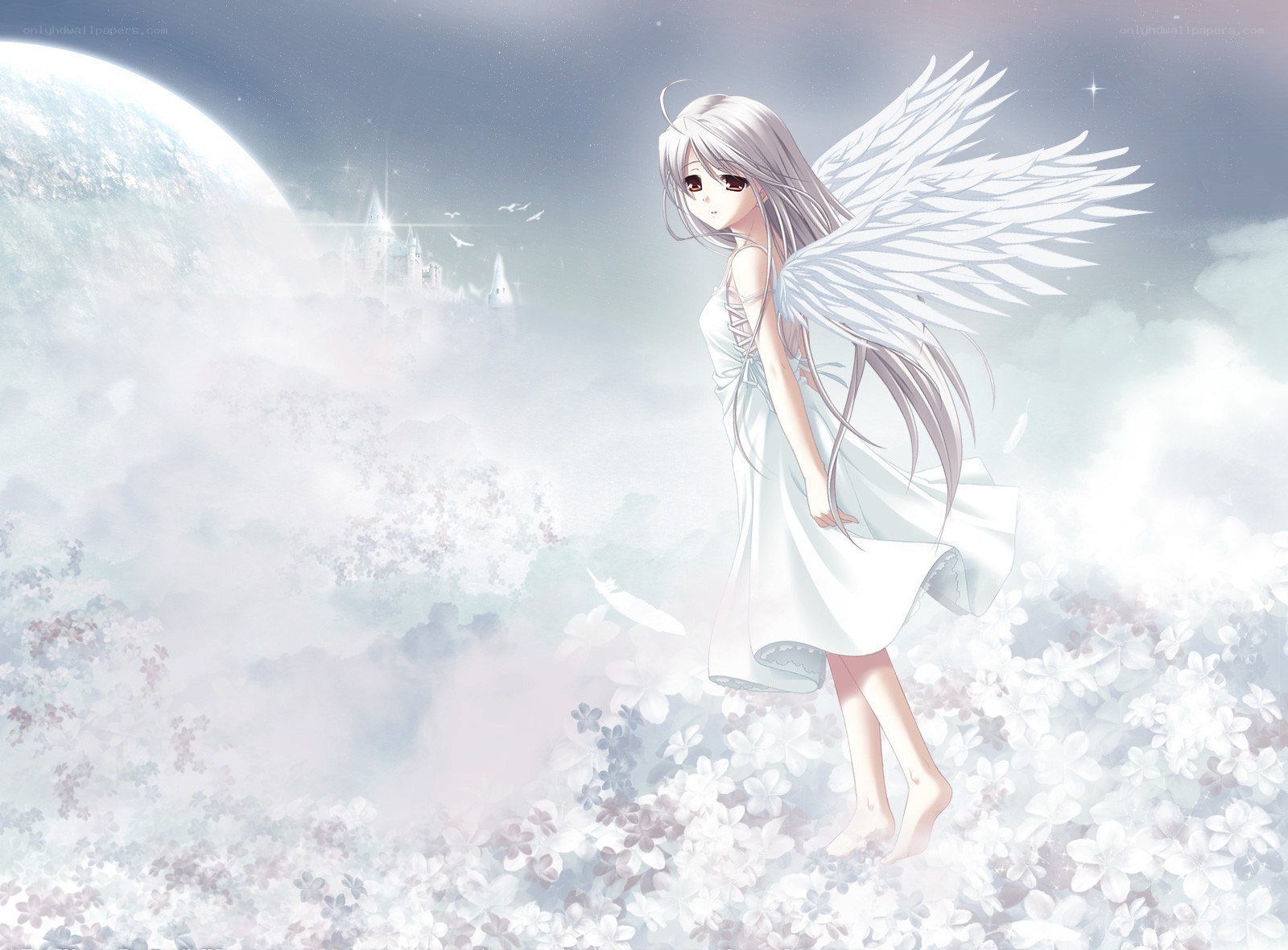 angel in a flower field