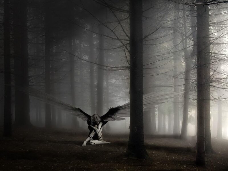 angel in a misty forest