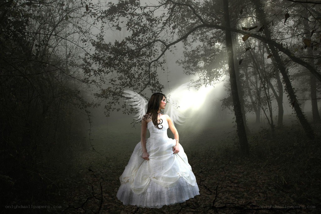 Angel in a misty forest