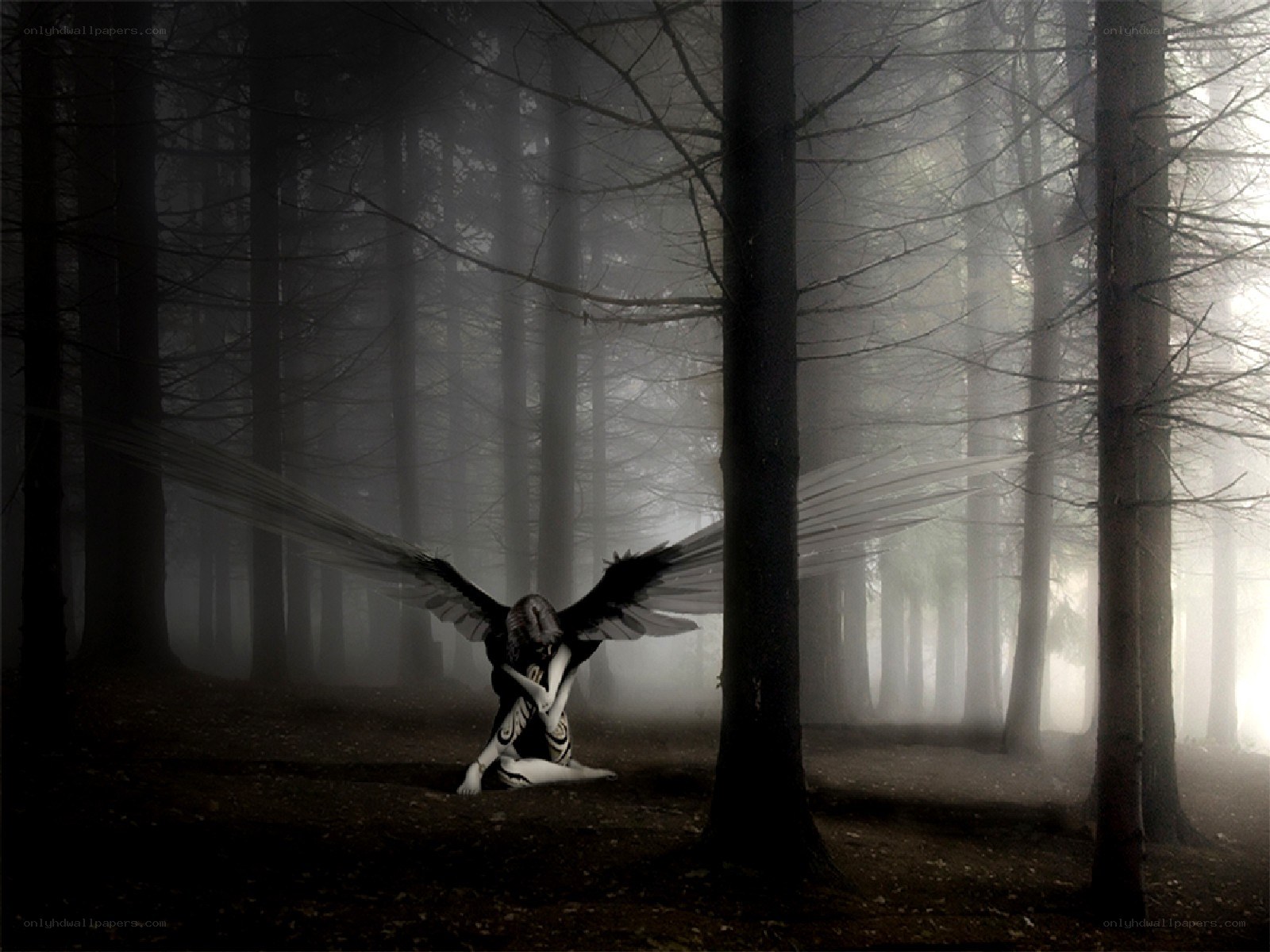angel in a misty forest