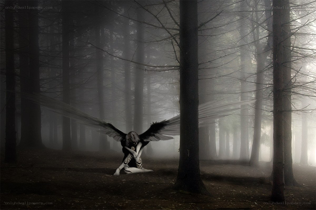 angel in a misty forest