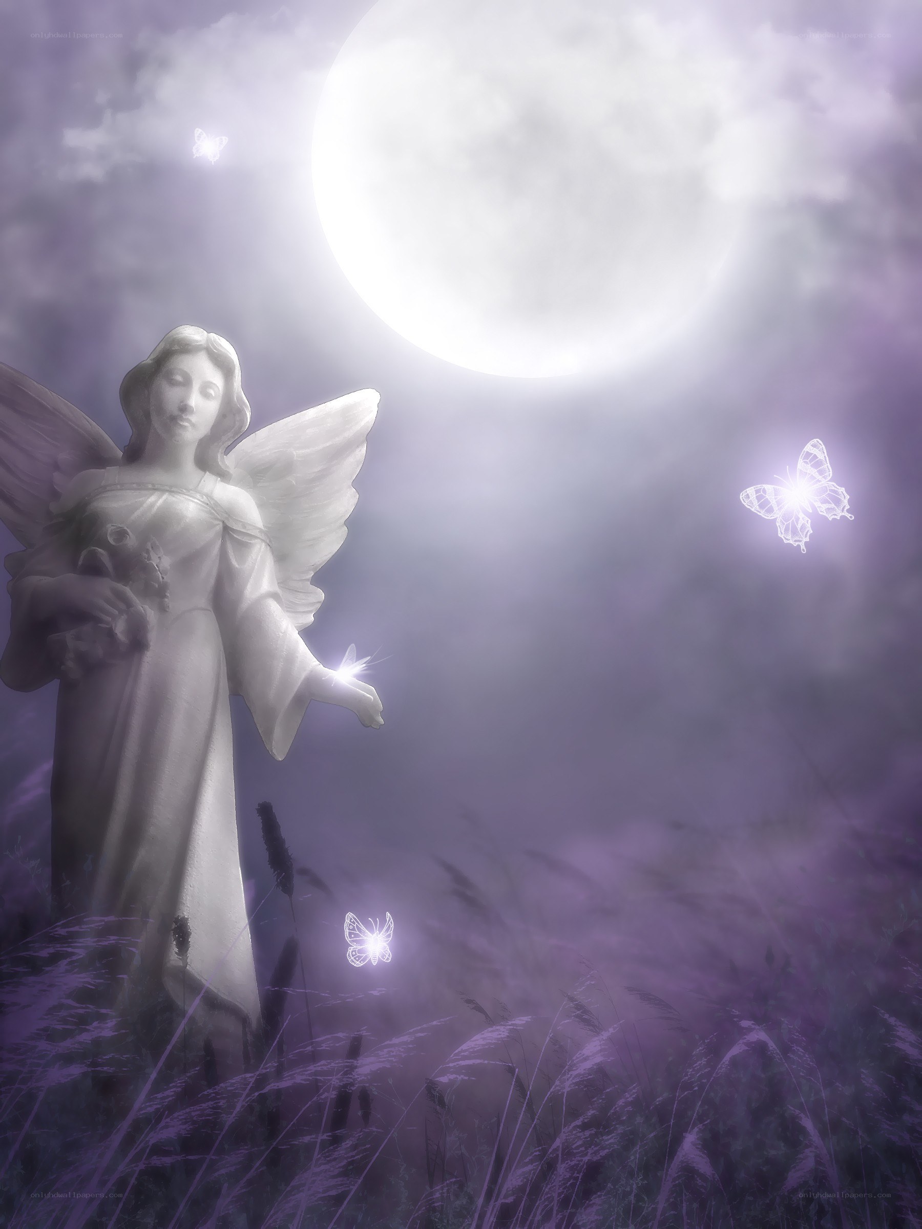 Angel in a moonlit field