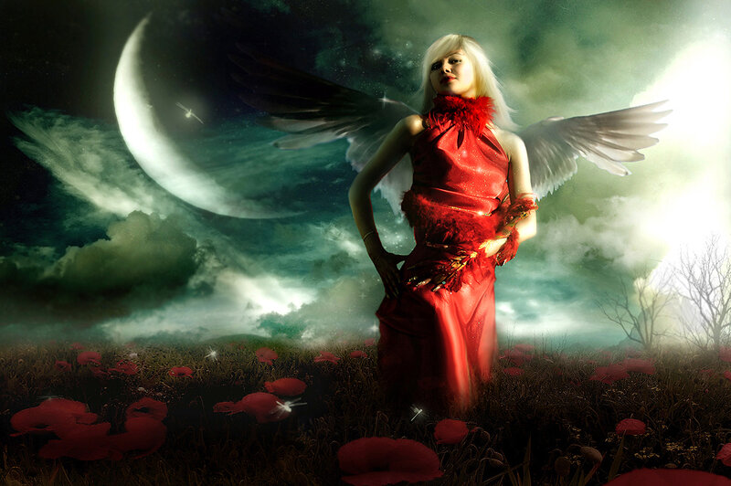 Angel in a poppy field