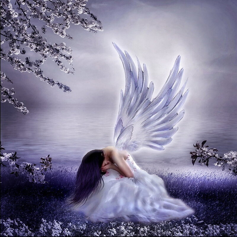 Angel in a purple field