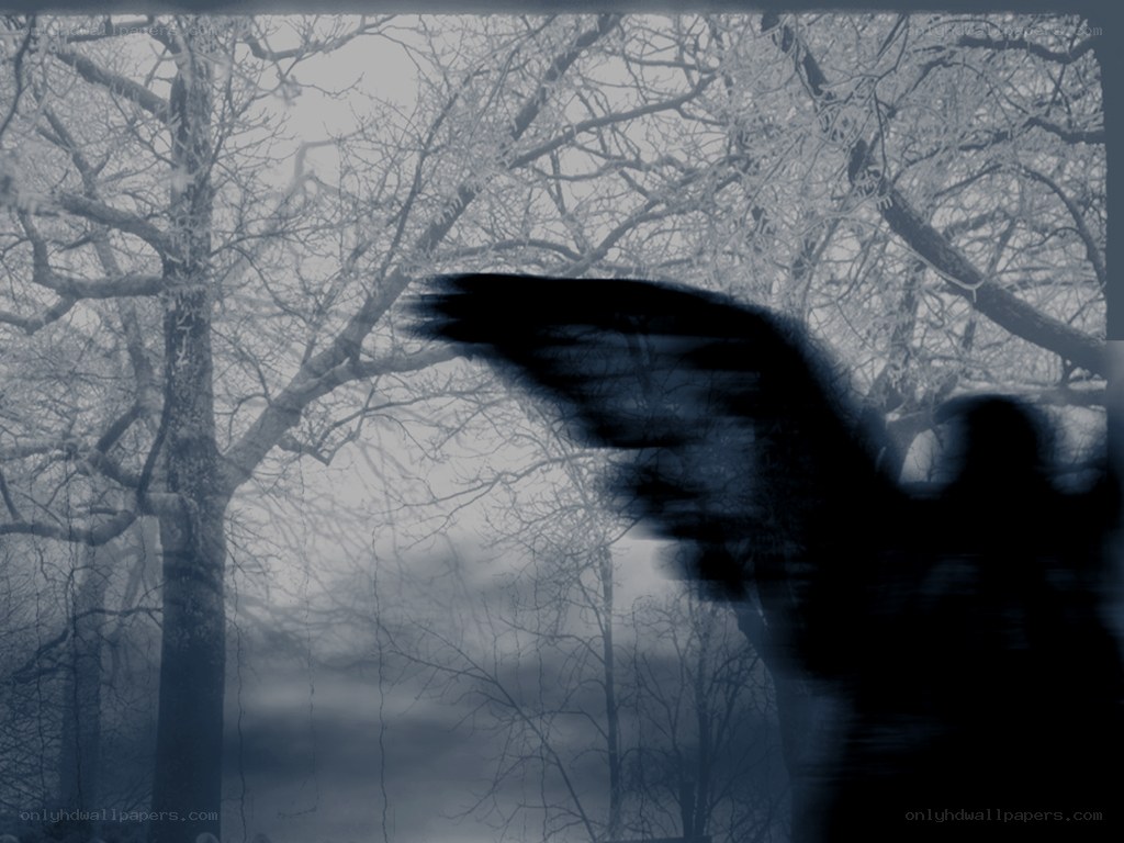 angel in a snowy forest
