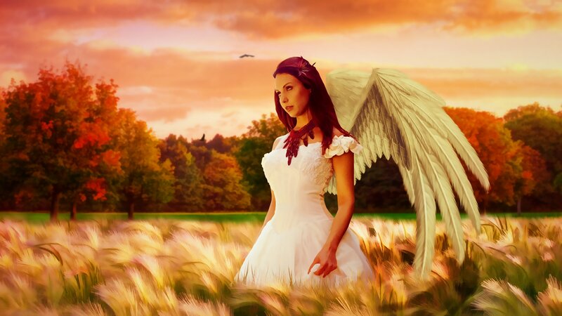 Angel in a Wheat Field