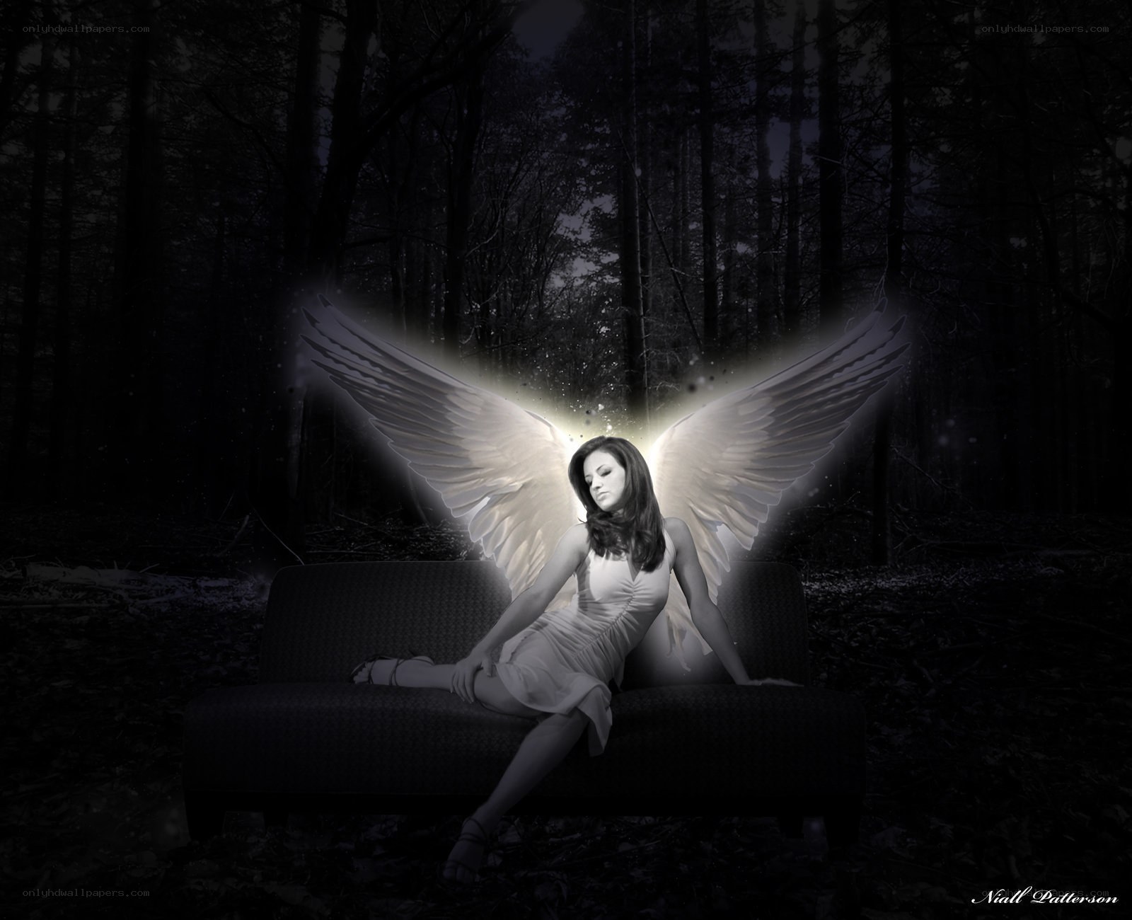 angel in dark forest