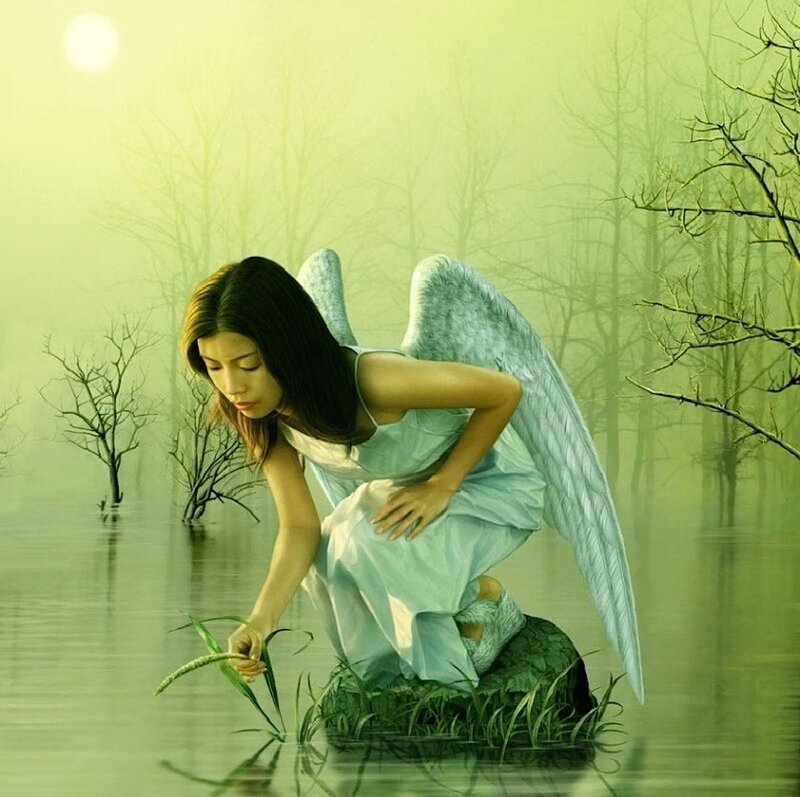 Angel in Flooded Forest — Green, Serene, Night