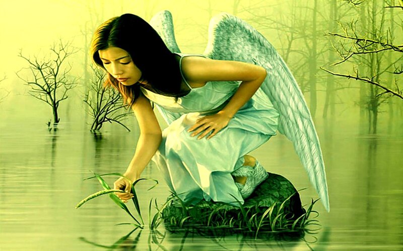angel in flooded forest