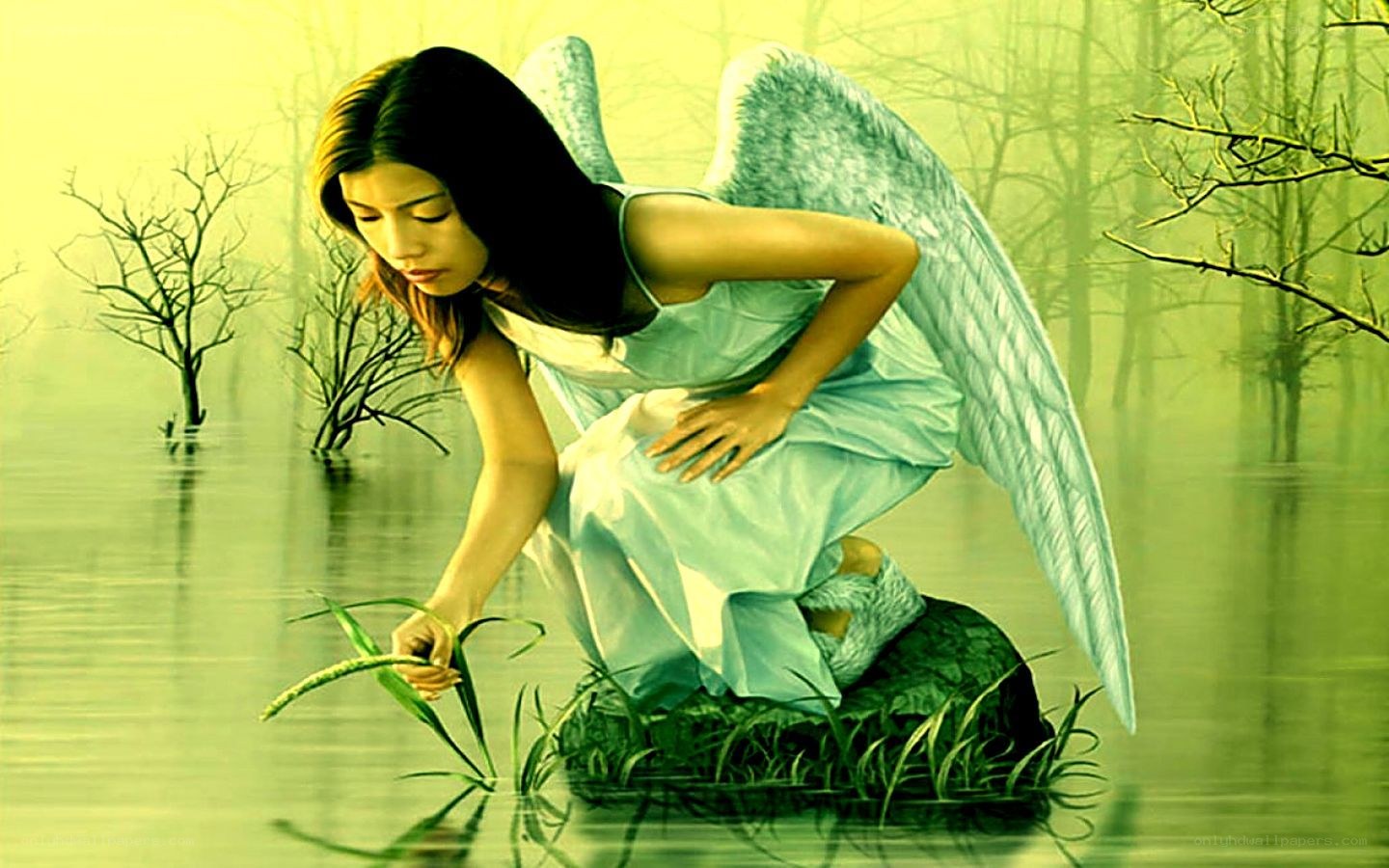 angel in flooded forest