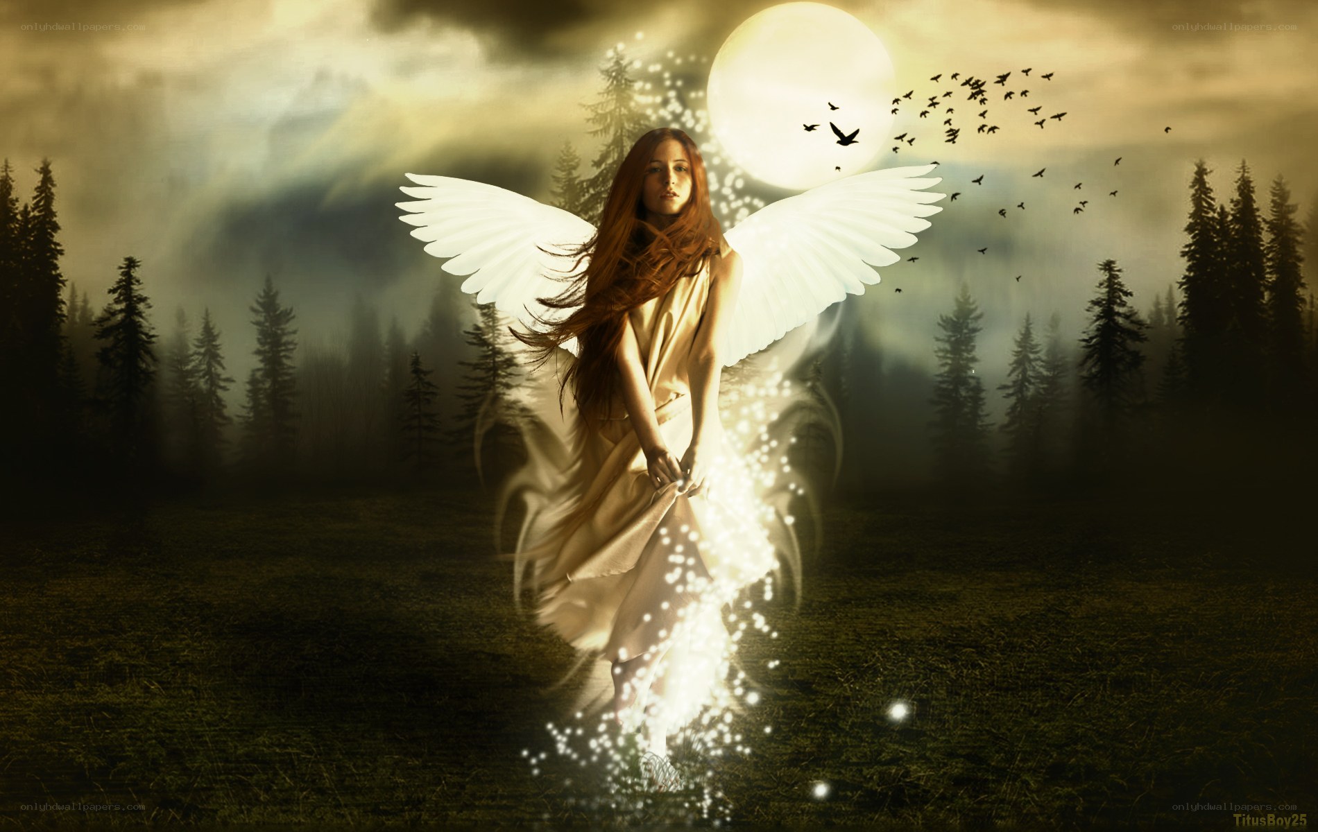 angel in forest at night