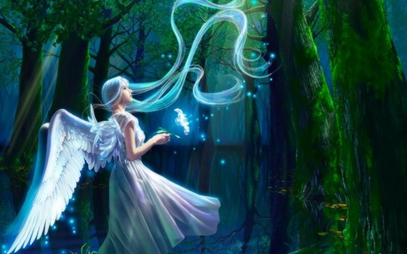 Angel in Forest — Green, Serene