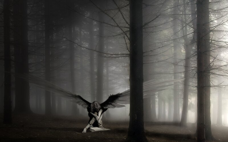 angel in misty forest
