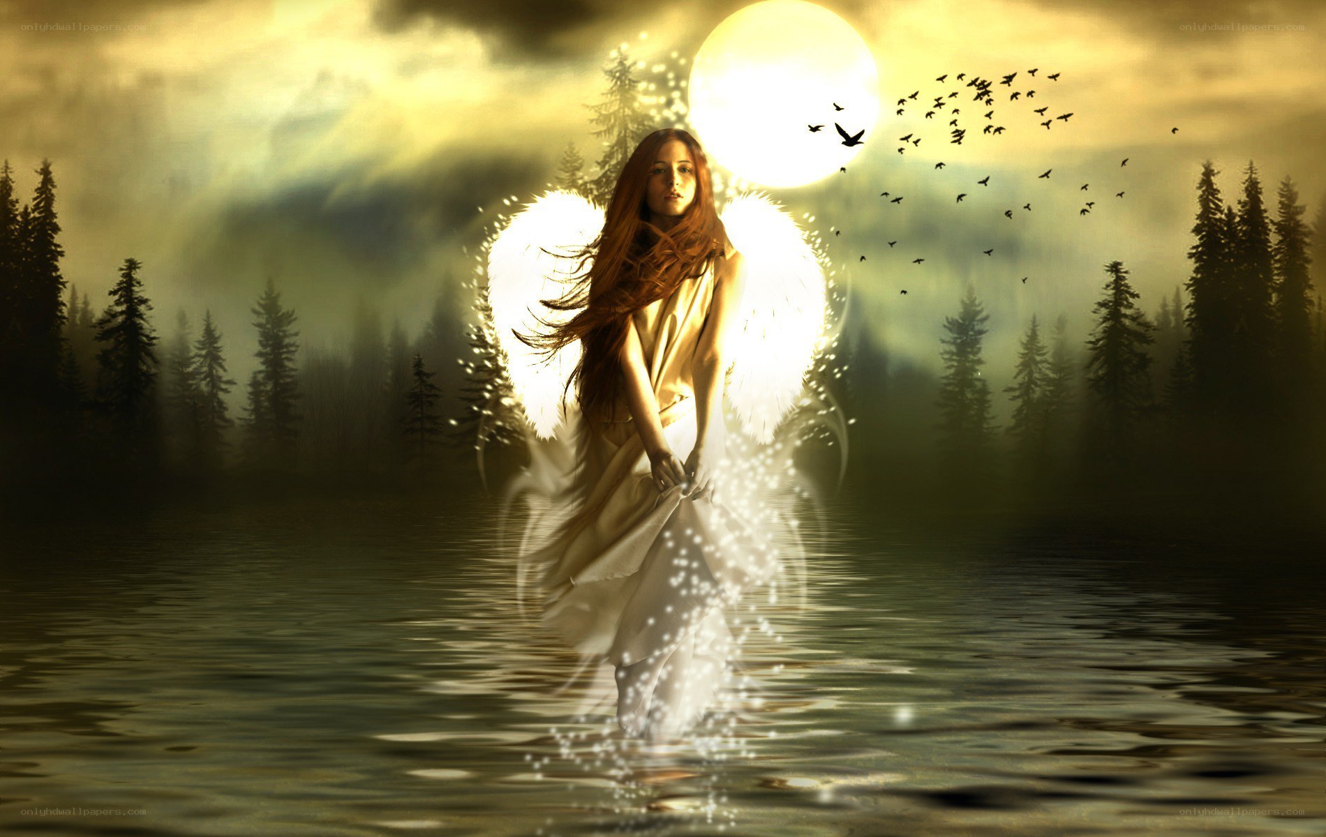 angel in moonlit forest