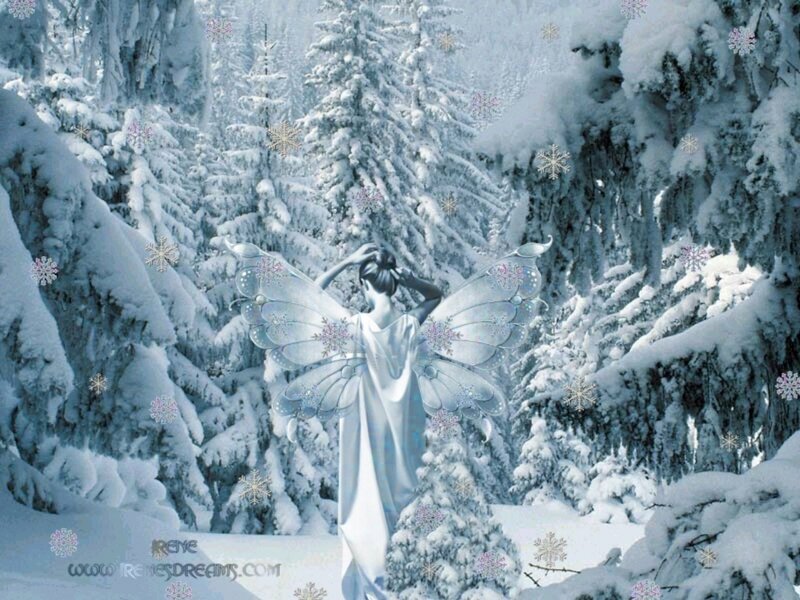 Angel in Snowy Forest — White