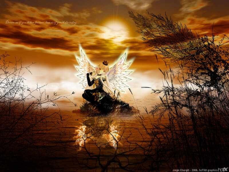 angel in sunset reflection