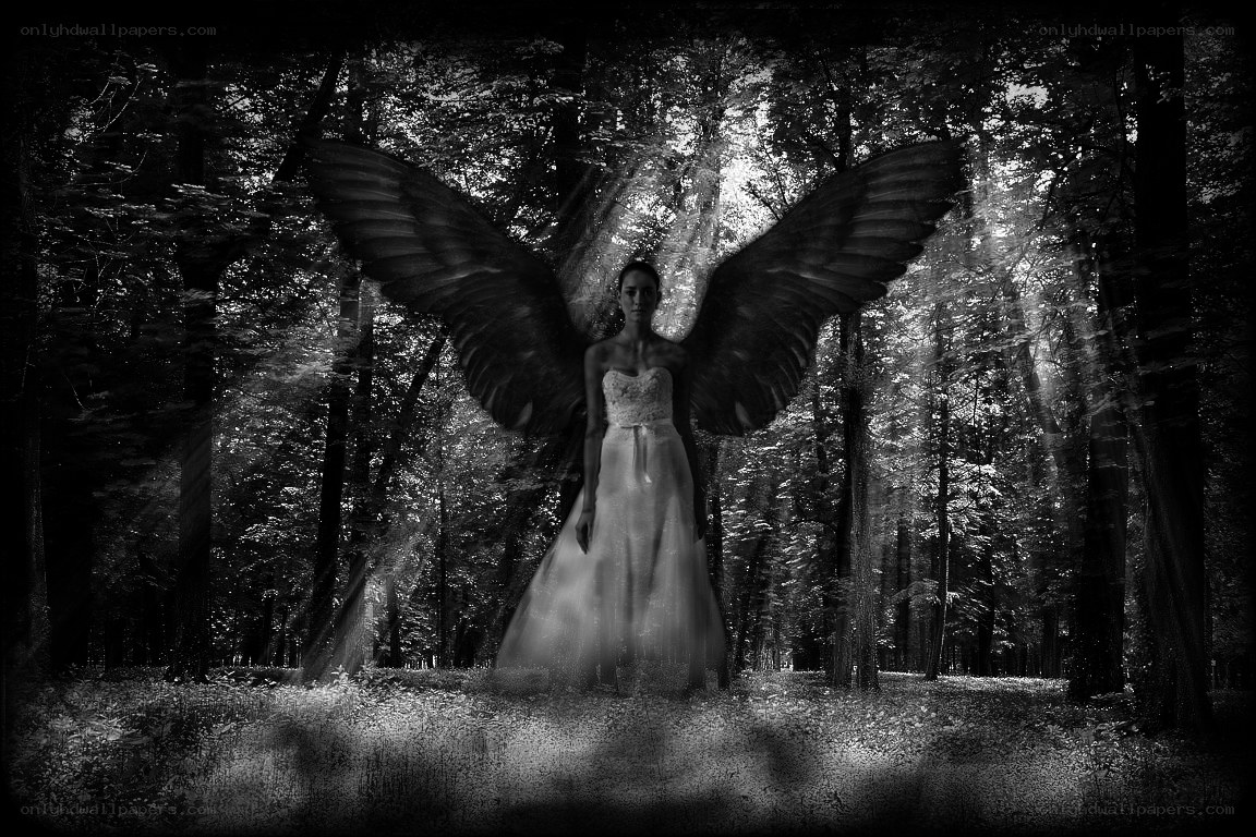 angel in the forest
