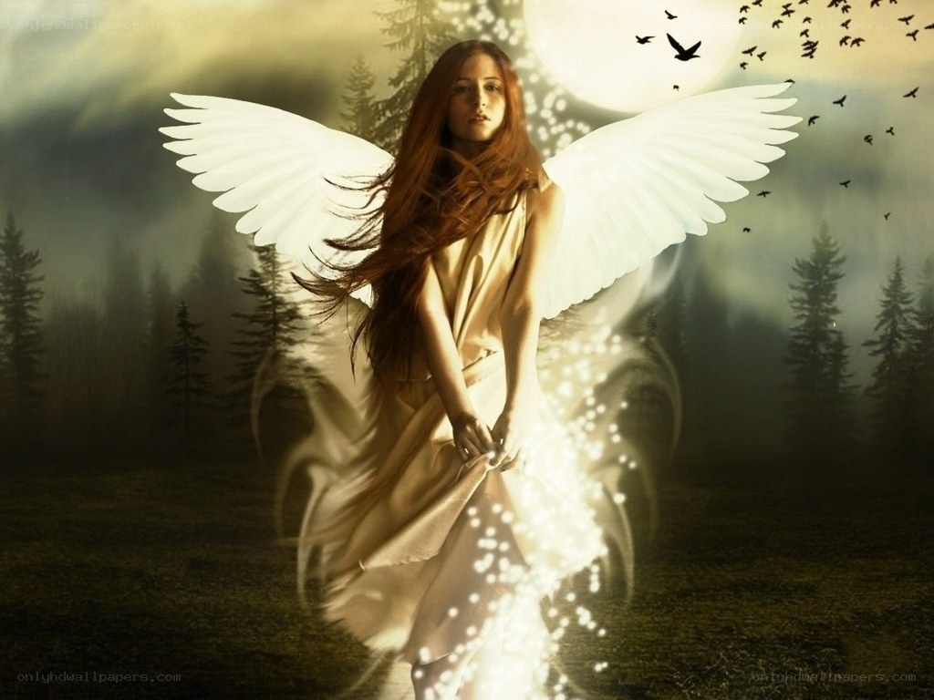 angel in the forest