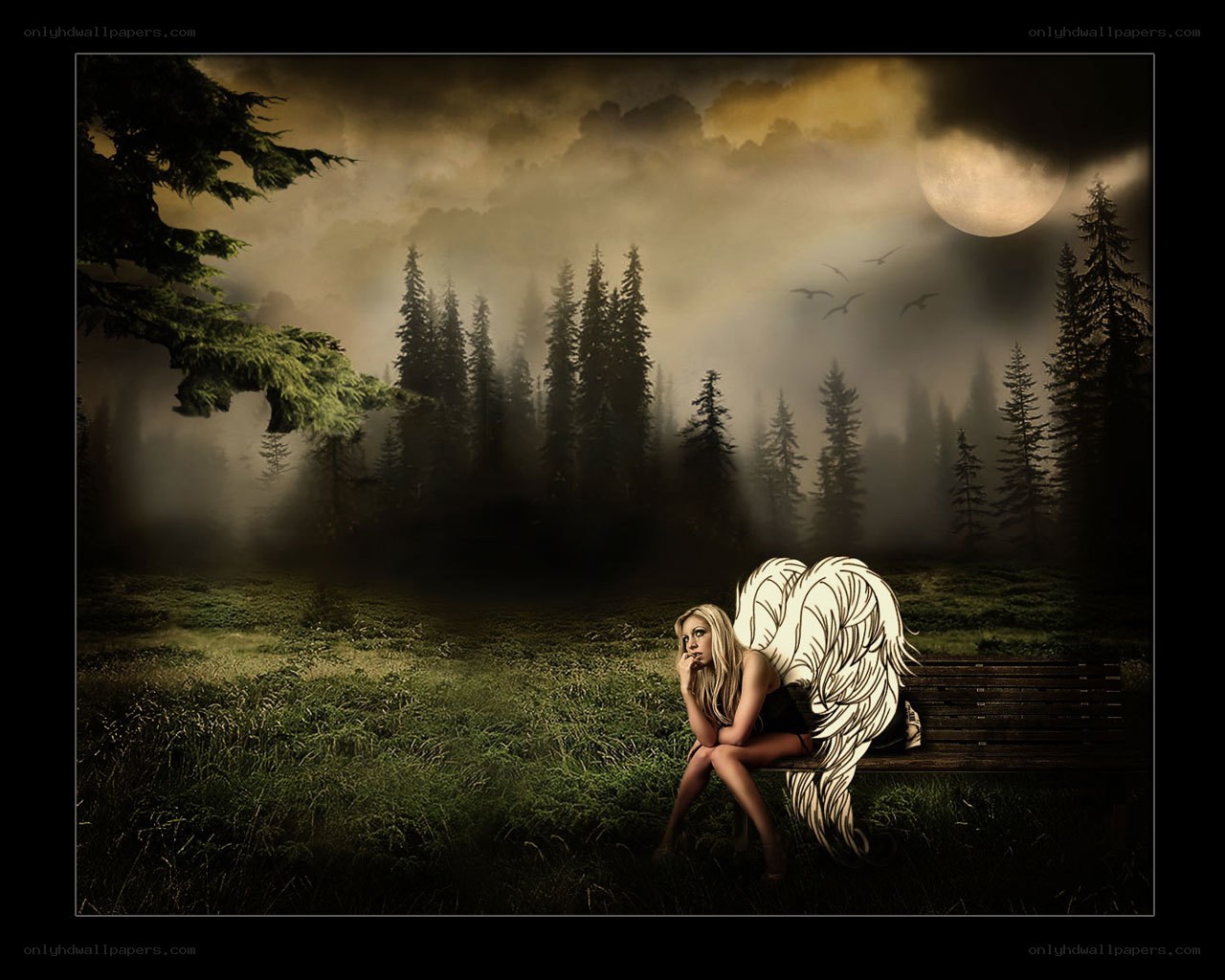 Angel in the misty forest
