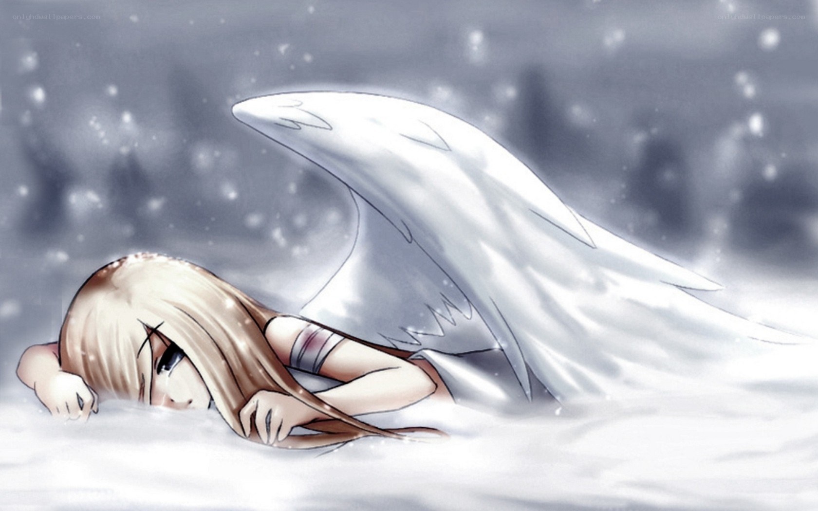 angel in the snow