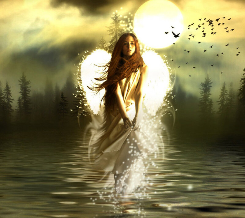 Angel in Water — White