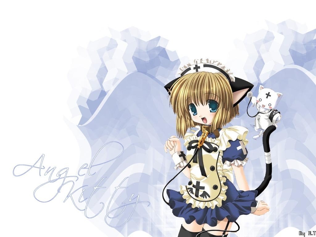 Angel Kitty character art