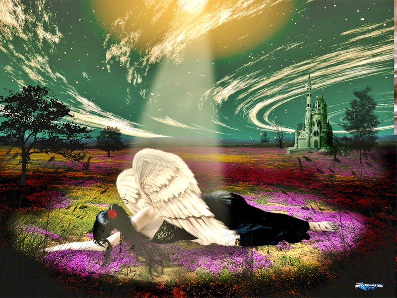 Angel Lying in Field