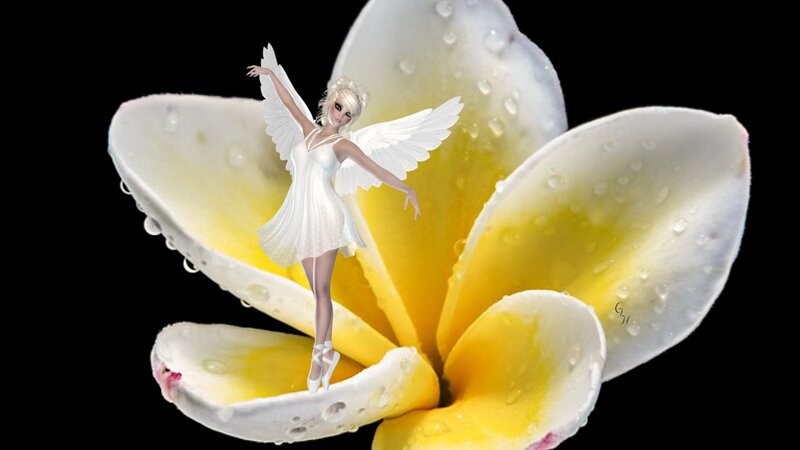 Angel on Flower