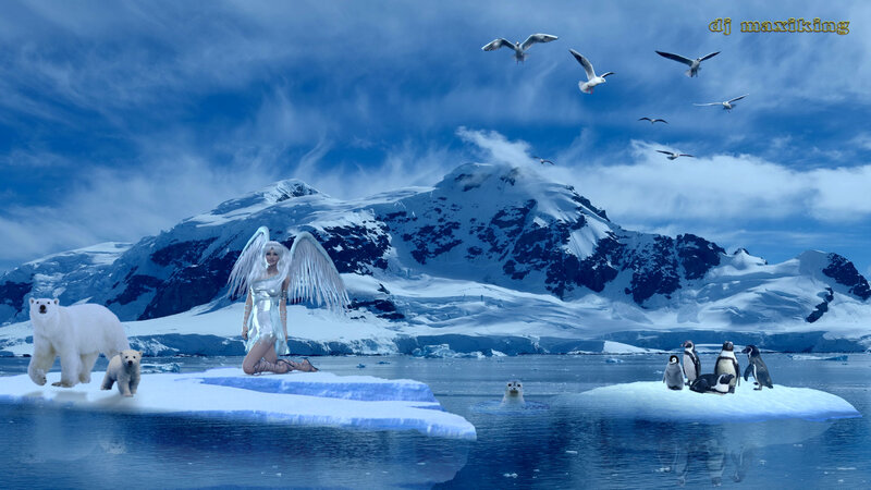 Angel on Ice Floe