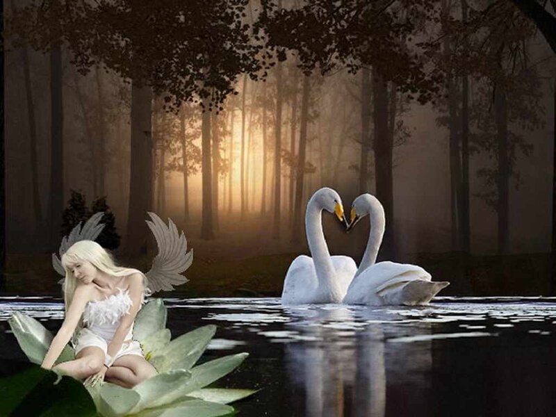 Angel on Lily Pad