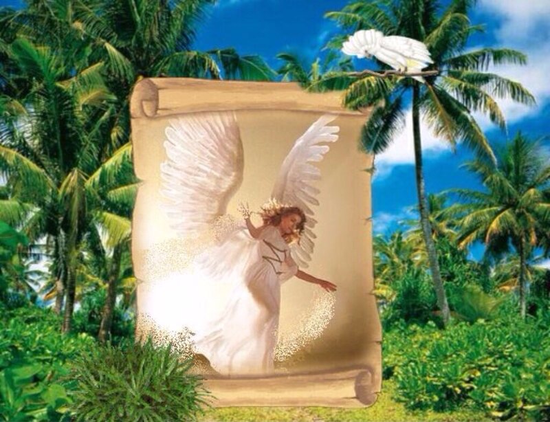 Angel on Scroll