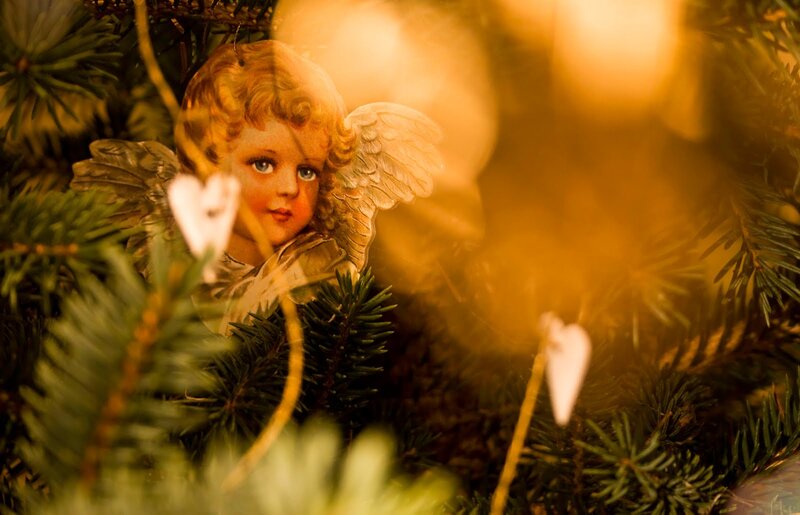 Angel Ornament in Tree