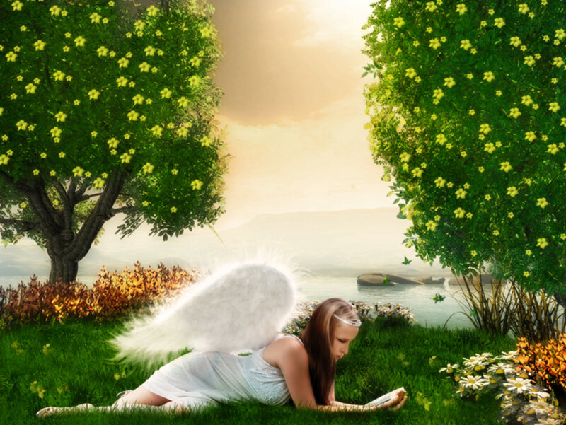 Angel Reading Book
