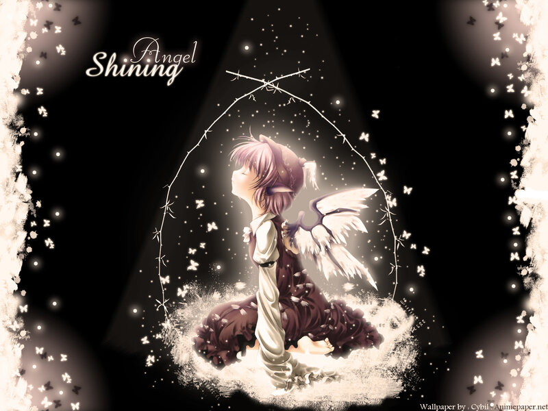 Angel Shining
