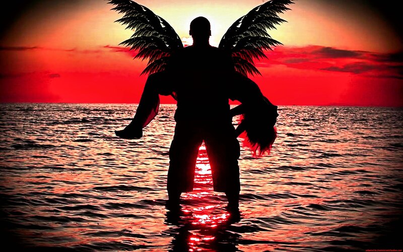 angel silhouette at sunset