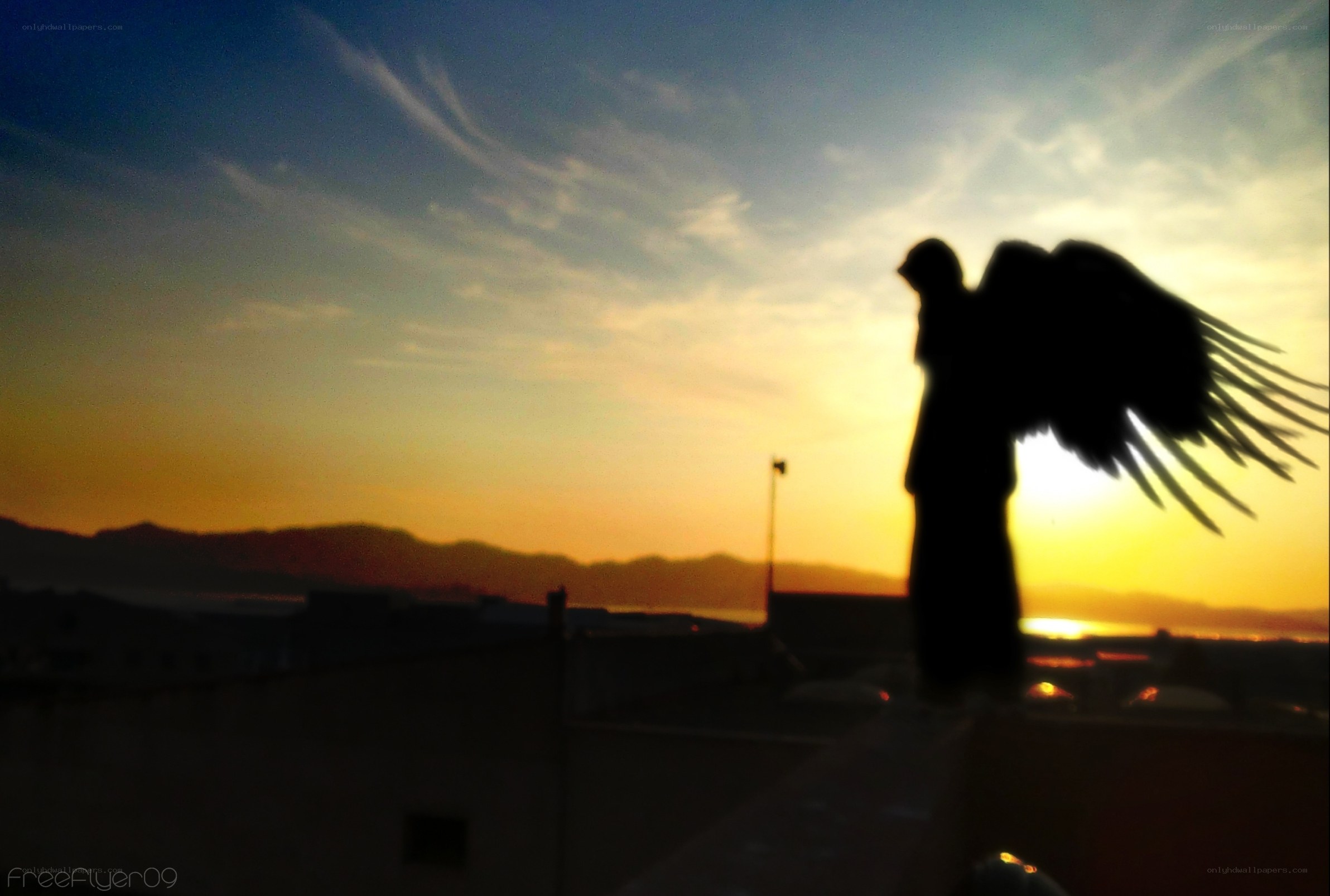 angel silhouette at sunset