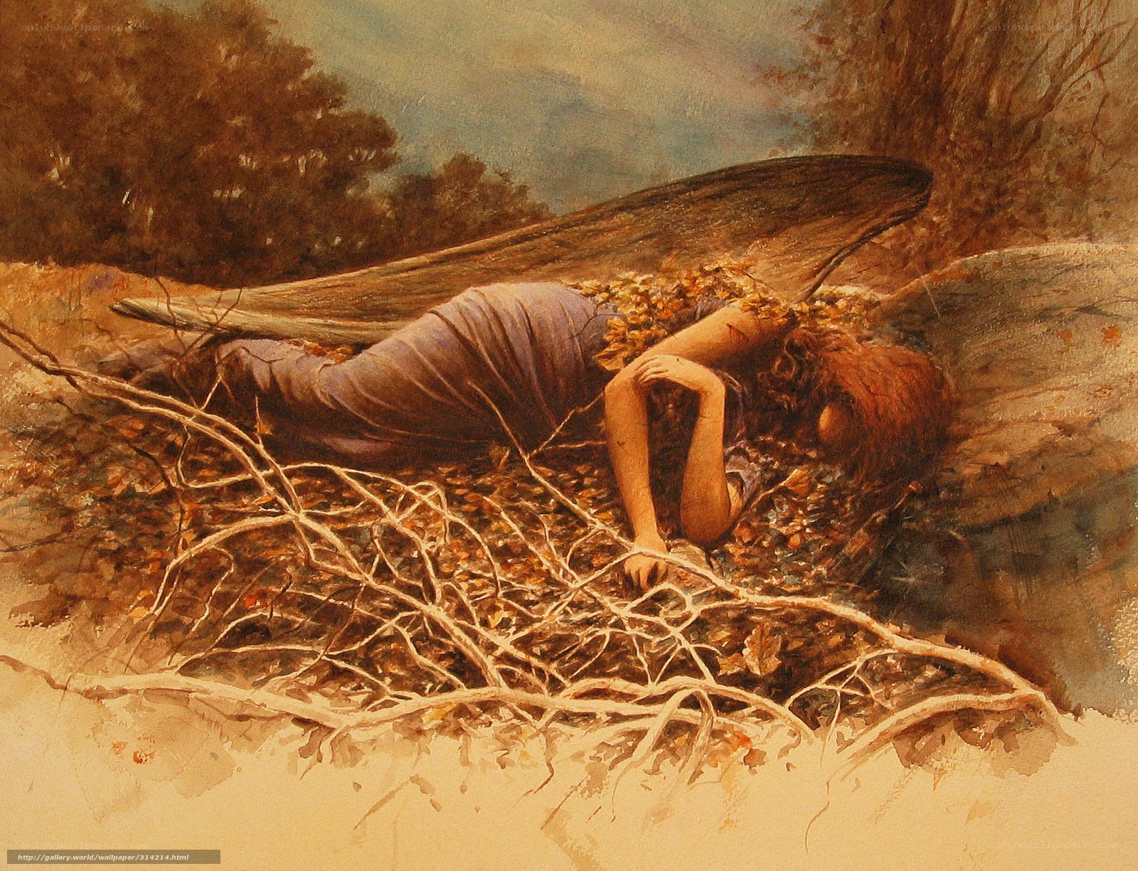 Angel Sleeping in Autumn